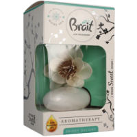 Brait dekorativní osvěžovač vzduchu AROMA Frosty delight 75 ml